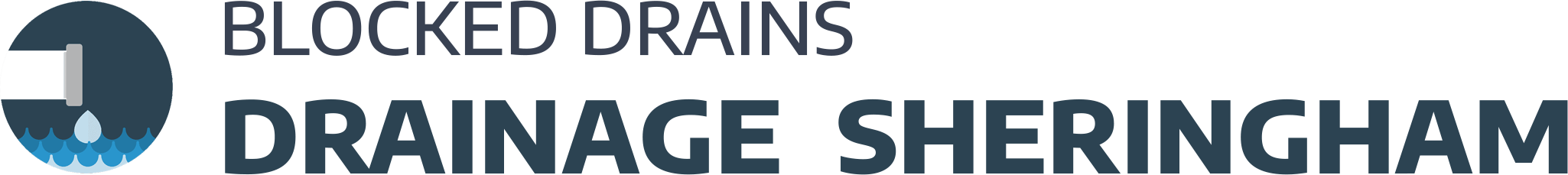 website logo